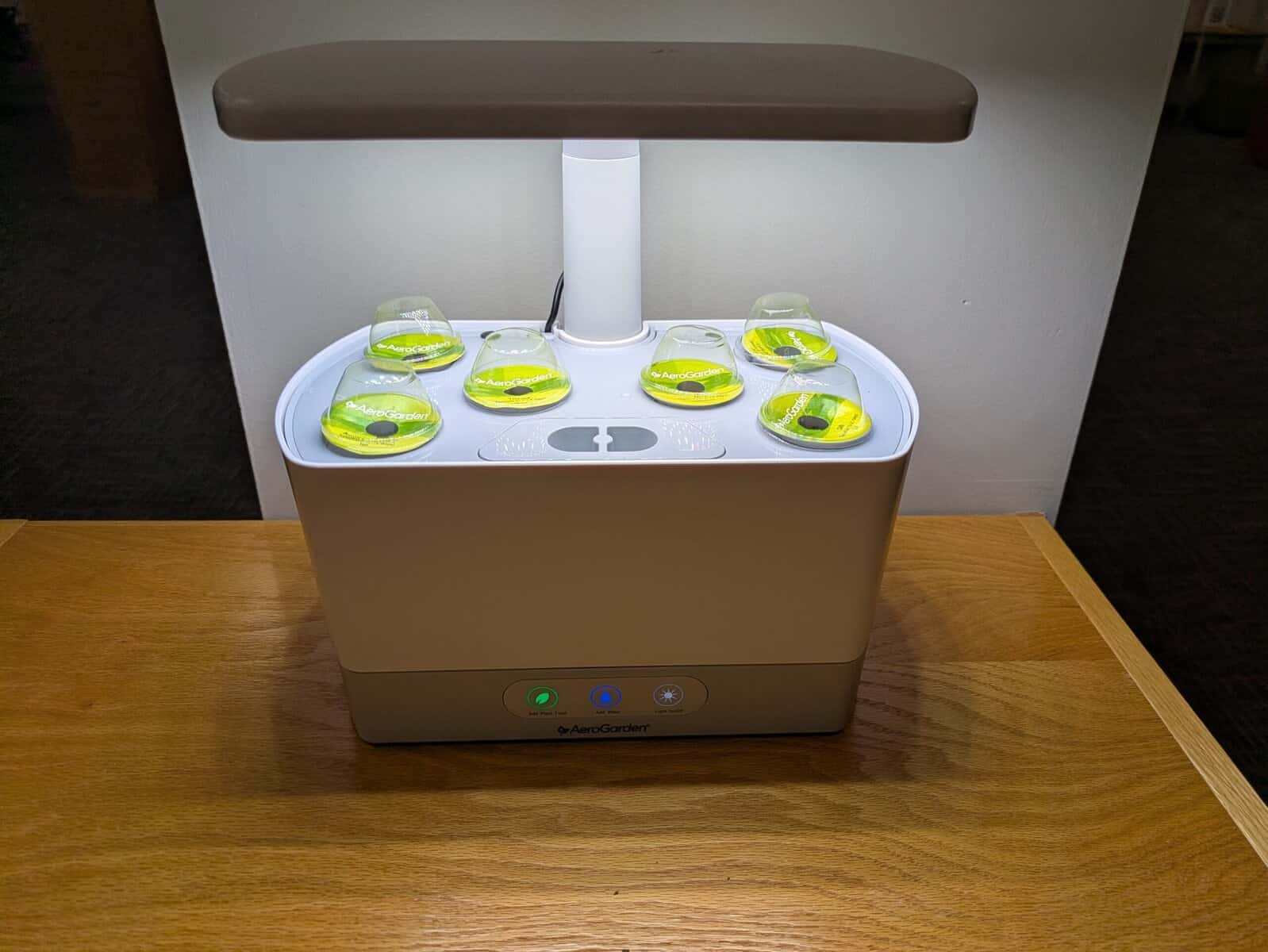 A hydroponic garden with a heat lamp on it growing a variety of herbs.
